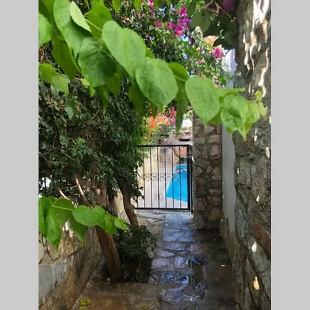 Villa Fully Detached, Scenic With Private Pool Bodrum